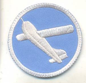 WWII Airborne 401st Glider Infantry Cap Army Patch