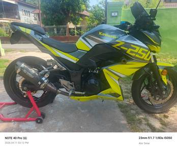 Kawasaki Z 250
