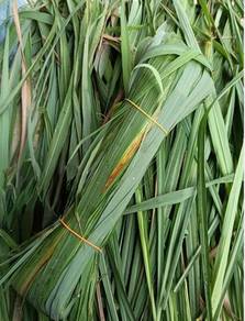 Daun serai wangi