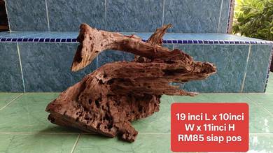 driftwood untuk aquarium dan aquascape