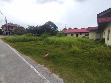Agricultural Land in Kapar, SGR