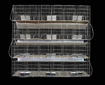 Rabbit Cage Large Breeding Breed Sangkar Arnab