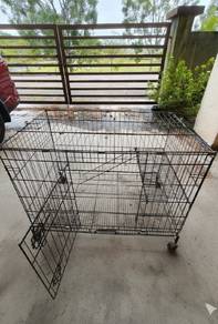 sangkar kucing ayam burung