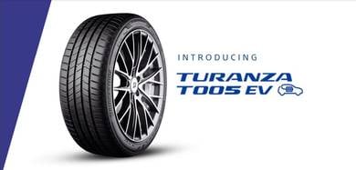 255 45 19 Bridgestone T005EV