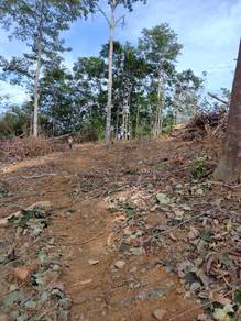 Agricultural Land in Kuala Lipis, PHG