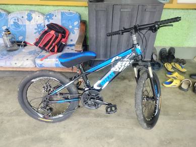 mtb 20 inches 