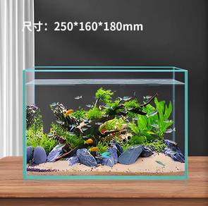 Mini Crystal Clear Fish Tank