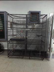 sangkar kucing 