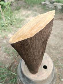 Barang Antik Akar Kayu Cengal Emas (GRED A+) 100% 