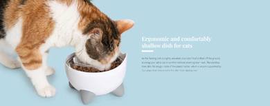 CatIt Pixi Elevated Feeding Dish Cat Kucing 43881