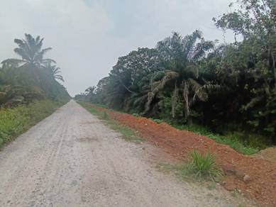 Agricultural Land in Pontian, JHR