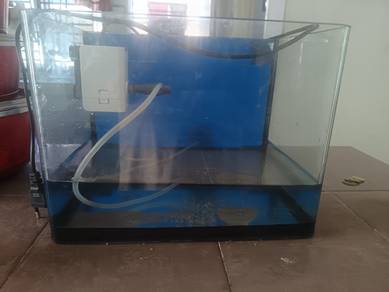 Aquarium kecil beserta pump