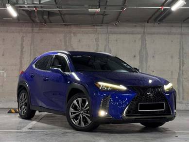 Lexus UX 200 F SPORT in Johor Bahru, JHR