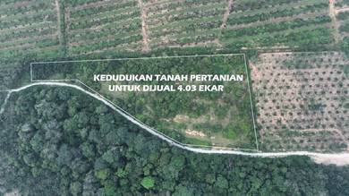 Agricultural Land in Linggi, NSN