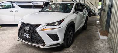 2021 Lexus NX 300 F SPORT