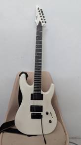 Guitar Sqoe Seib 300