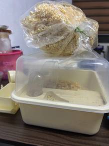 sangkar hamster fullset