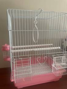 Sangkar Sugar Glider