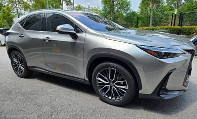 Lexus NX 250 LUXURY in Seri Kembangan, SGR