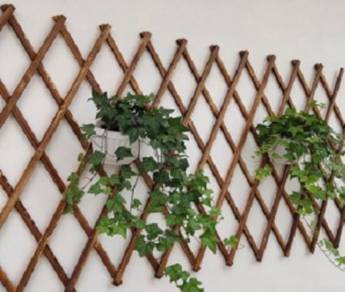 Wall hanging plant rack display Decorative Stand