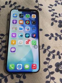 iphone 12 pro max ZP set