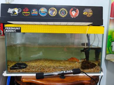 aquarium 