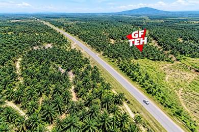 Agricultural Land in Tawar, KDH