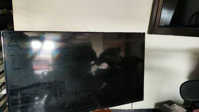 Samsung 55" TV