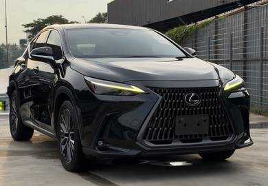2023 Lexus NX 250 LUXURY