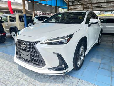 2022 Lexus NX 250 LUXURY