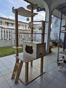 Cat Tree & Climbing Frame