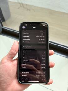 Iphone 13promax 256gb