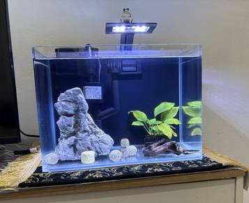akuarium crystal clear
