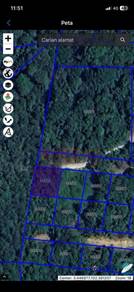 Residential Land in Temerloh, PHG