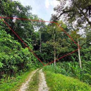 Agricultural Land in Hulu Langat, SGR