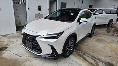 2023 Lexus NX 250 LUXURY