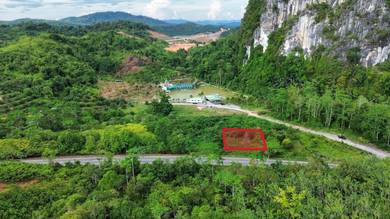 Agricultural Land in Gua Musang, KTN