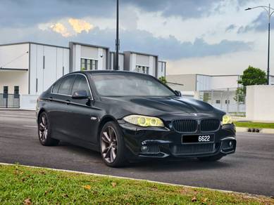 2013 BMW 520i 20i