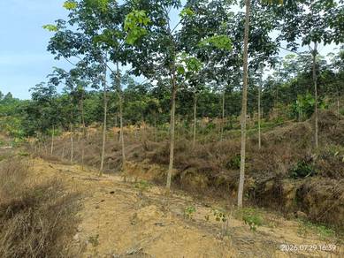 Agricultural Land in Tangkak, JHR