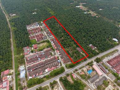 Agricultural Land in Rengit, JHR