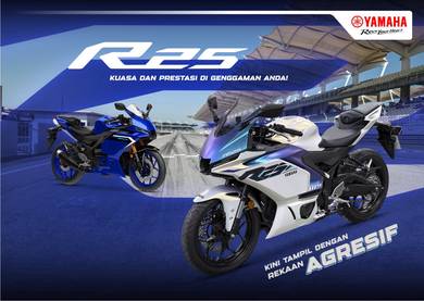 Yamaha YZF-R25