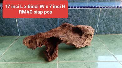 kayu hiasan aquascape dan tank Channa