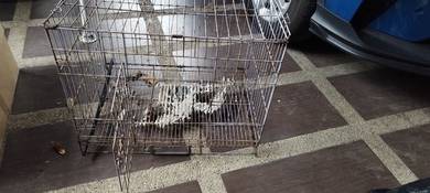 Sangkar Untuk Kucing, Arnab, Hamster