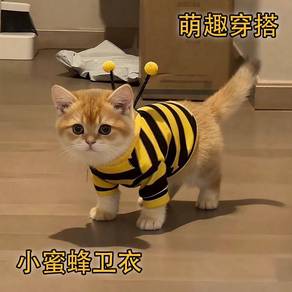 Dog/Cat Clothes (XL) NEW