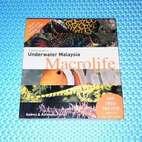 A Diver's Guide to Underwater Malaysia