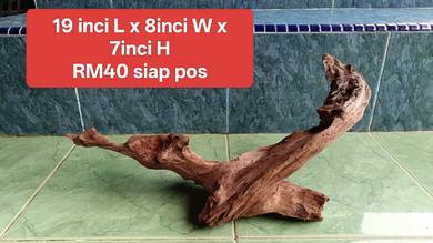 Channa tank driftwood hiasan
