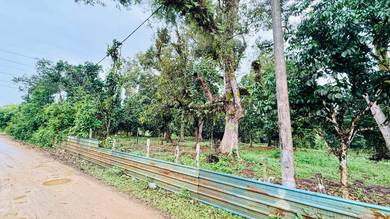 Others Land in Kemaman, TRG
