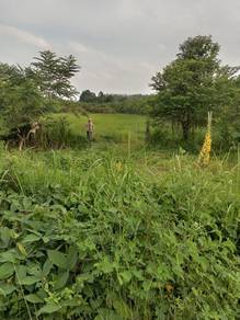 Residential Land in Machang, KTN