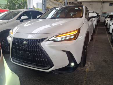 2023 Lexus NX 250 LUXURY