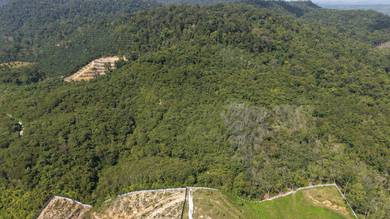 Agricultural Land in Kuala Lipis, PHG